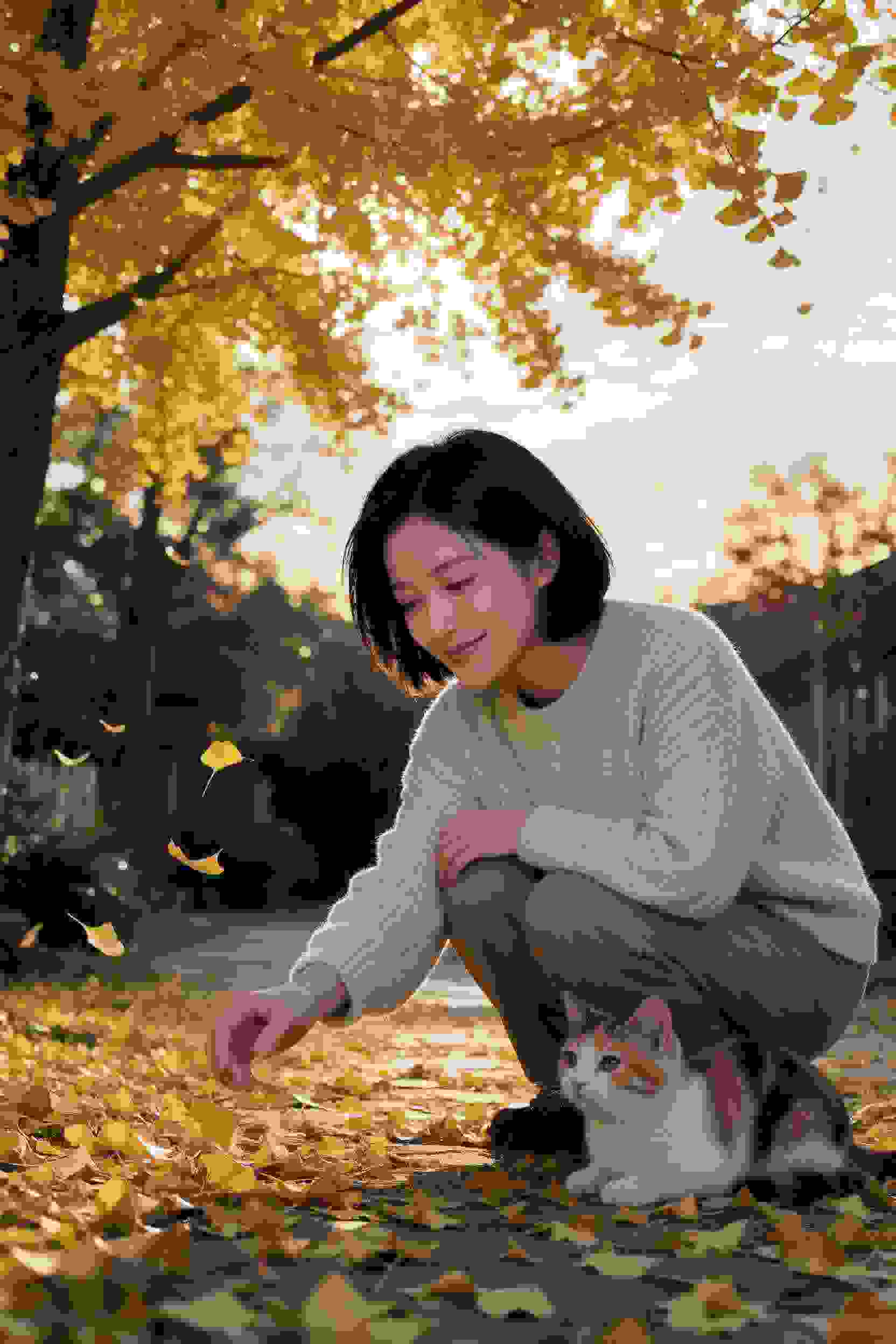 漫改:恋爱节拍